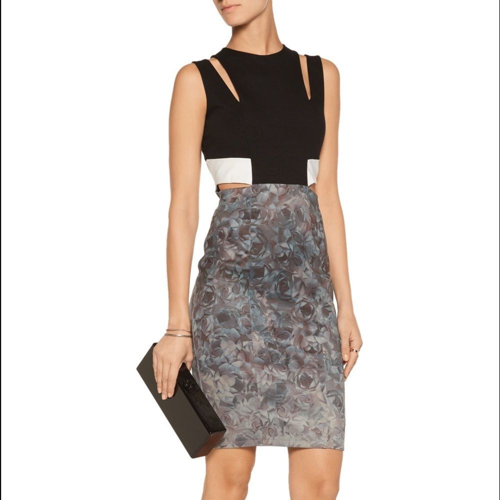 NWT Mason Dress